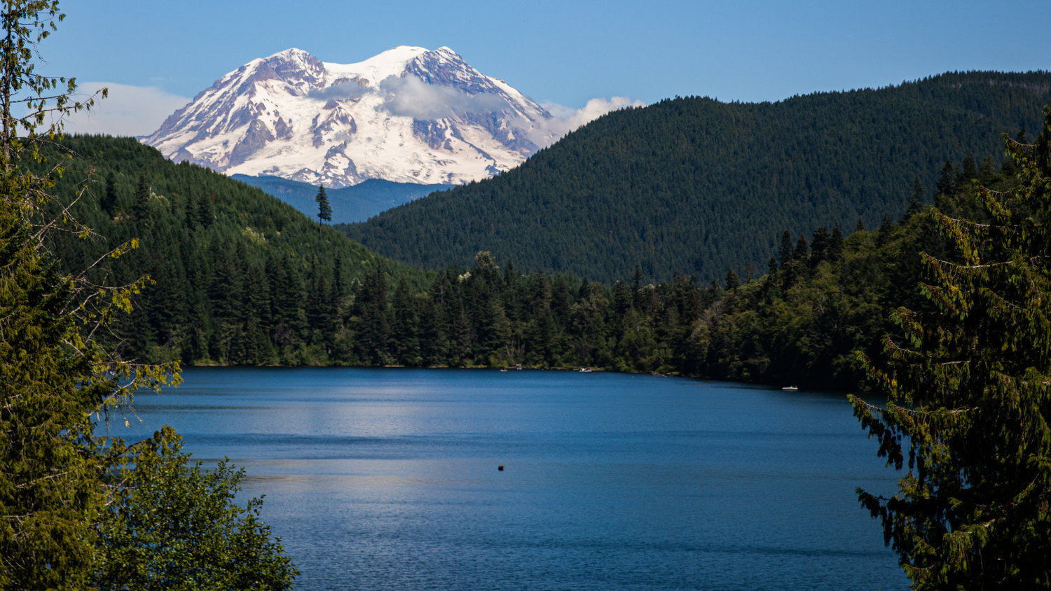 Mount Rainier towers above Mineral Lake, which is just below the Nisqually River in Northeast Lewis County. This photo was taken last August.